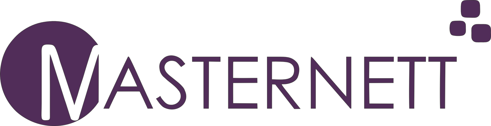 MASTERNETT Fibra